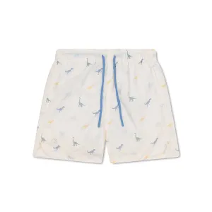 Dino | Multicolored UV Swim Short Boys