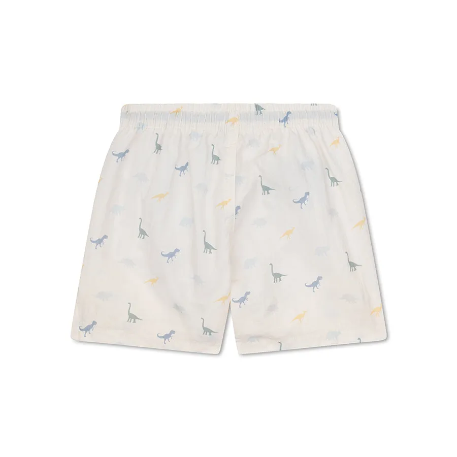 Dino | Multicolored UV Swim Short Boys