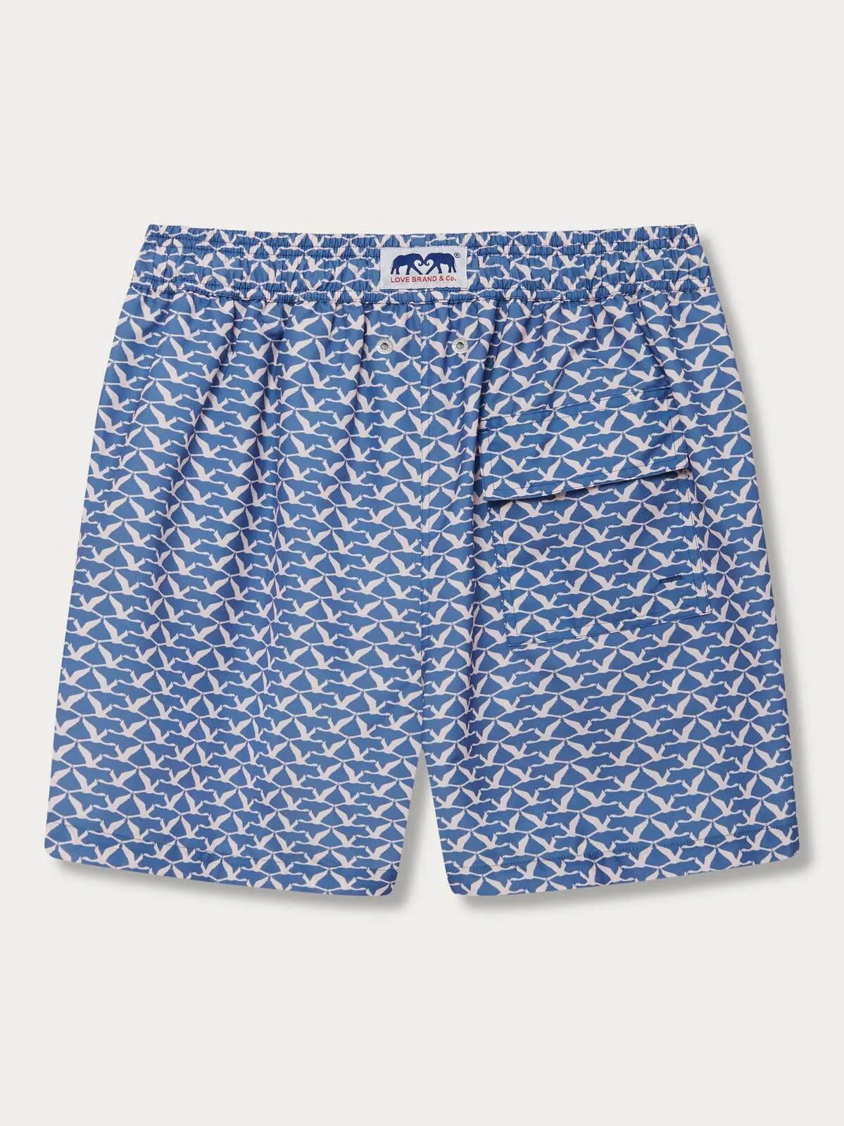 Men's Flamingo Flamboyance Staniel Swim Shorts