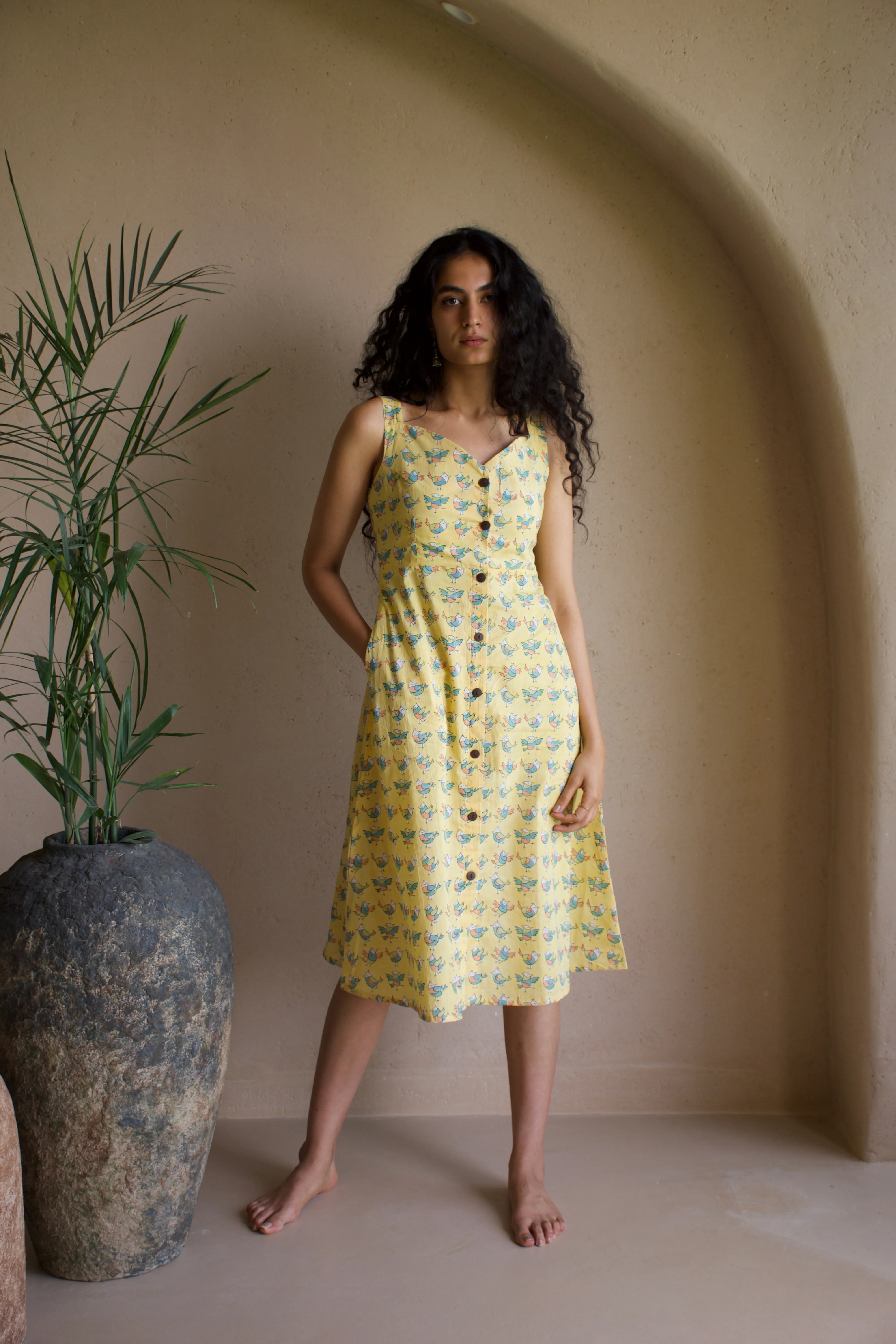 SUNNY SONGBIRD DRESS