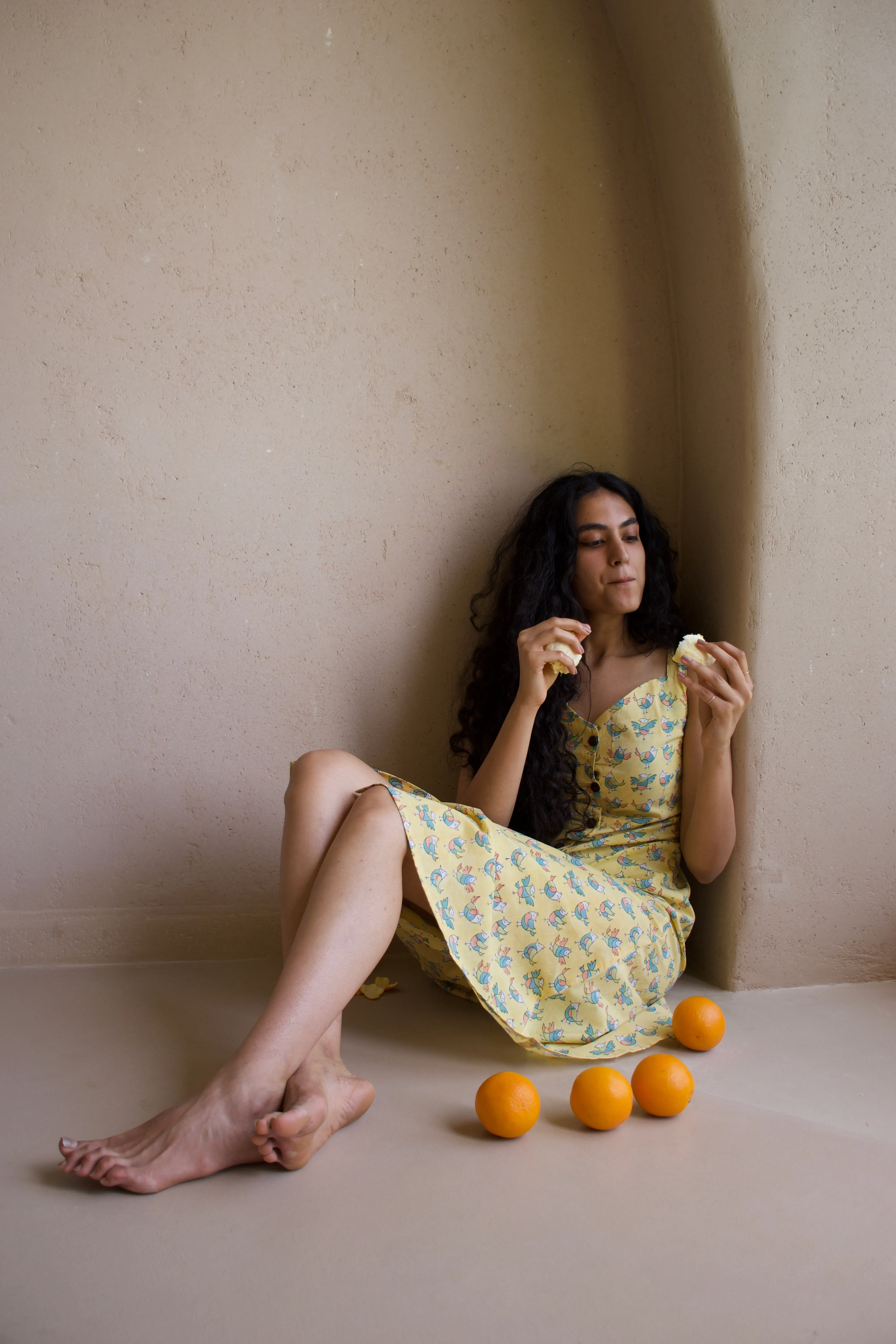 SUNNY SONGBIRD DRESS